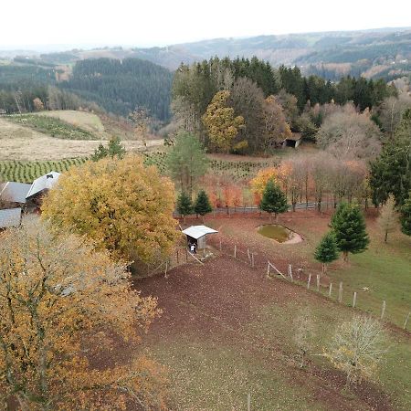 Le Brocard Des Fagnes - 16 Pers Malmedy Vila Exterior foto